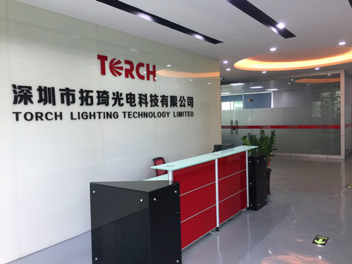 Torch visual LED display